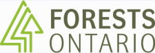 logo forests ontario