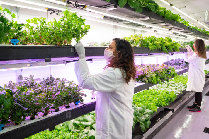 Stunning Sustainable Agriculture Workshops image
